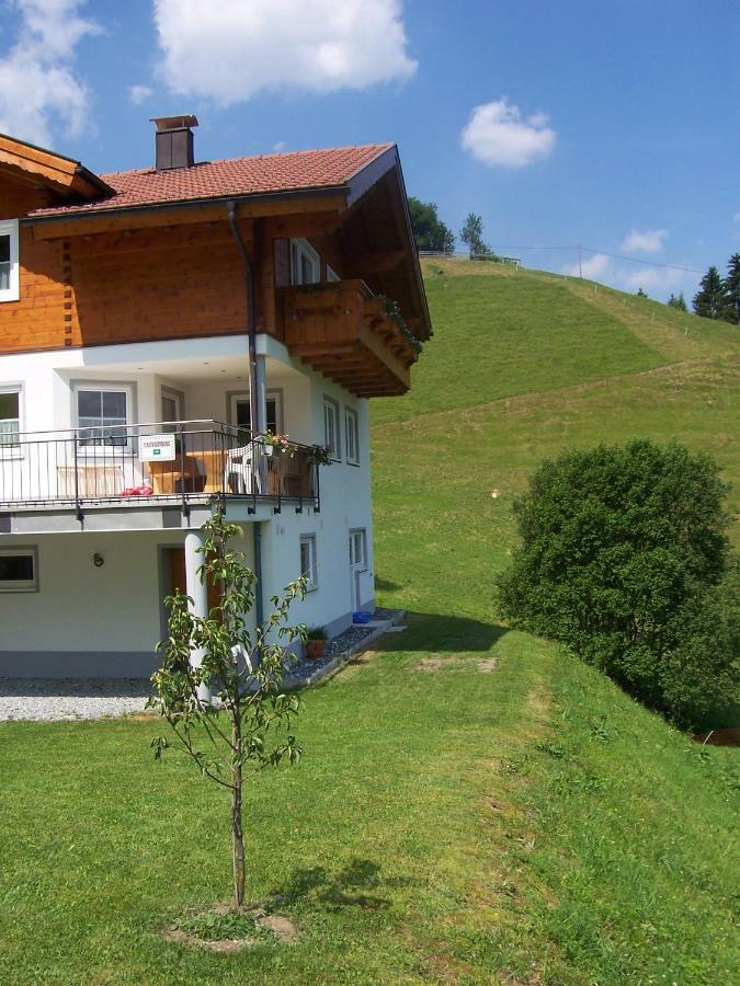 Ferienwohnung Roschitz シュルンス エクステリア 写真